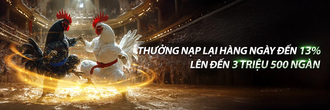 Đá Gà BJ39 Trực Tuyến Hấp Dẫn